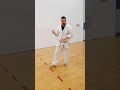 Taikyuka Shodan Bunkai 1 5