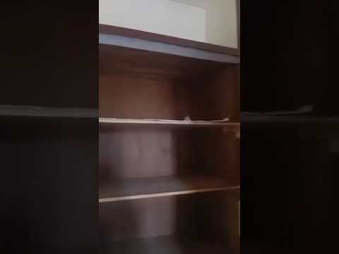 Mini Flat To Let at Abisogun, Ogba GRA, Ikeja