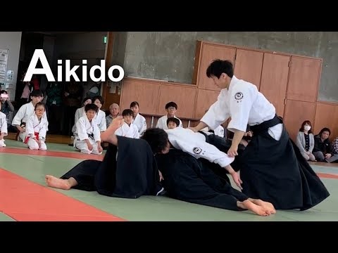 Dynamic and Beautiful Aikido Demonstration - Shirakawa Ryuji shihan