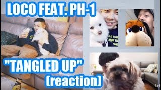 LOCO FEATURING PH-1 (reaction) "TANGLED UP" (THOSE DOGS ARE SO CUTE!!)
