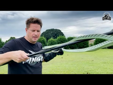 All the Mambas in one video!!!