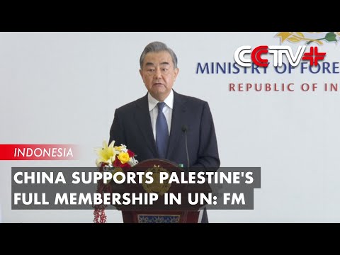 China Supports Palestine's Full Membership in UN: FM