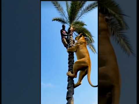 plz!! God help me😰😳#fyp #foryou