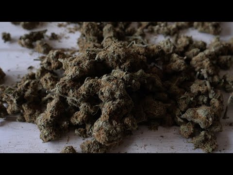 Lutan Fyah, Jah Mason, Spectacular - High Grade [Soul Rebel Sound & Evidence Music]