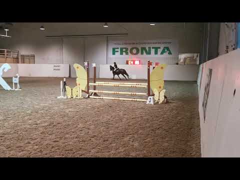 LC Ponni 80cm tredje plass Stord hestesportlag med Martine Korneliussen