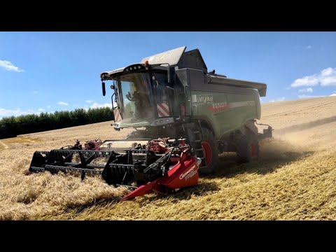 Fendt Mähdrescher 5275 C PL im Einsatz | DJI Mini 2