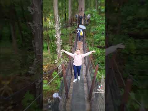 Mais perto da natureza na ponte suspensa Capilano, Vancouver