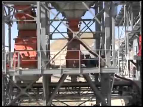 Italvest - Trecate Plant