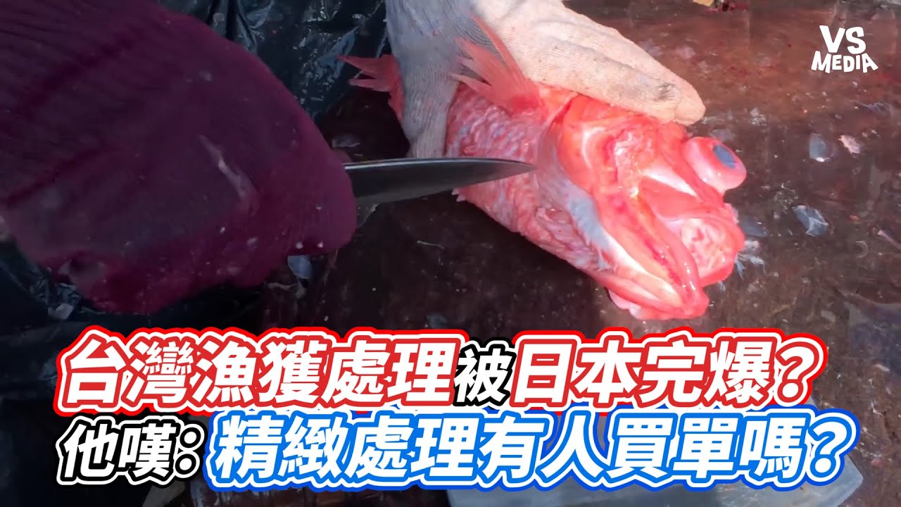 台灣漁獲處理被日本完爆？ 他嘆：精緻處理有人買單嗎？｜VS MEDIAｘ@laiEcheng