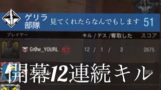 CODモバイル　開幕12キルの無双で勝利に導く！ソロランレート14000↑によるプレイングをみてくださいお願いしますなんでもしますから