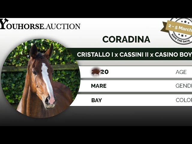 Coradina