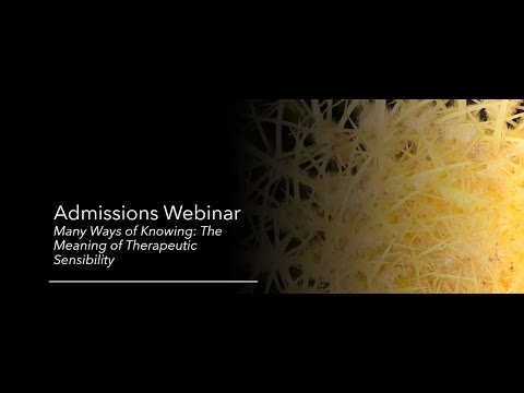 Many Ways of Knowing: The Meaning of Therapeutic Sensibility.