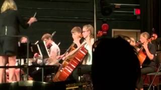 Brave Chittenango Orchestra