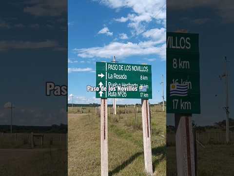 Paso de los Novillos , departamento de Tacuarembó , Uruguay , interior turbo/mega/ultra profundo 🇺🇾
