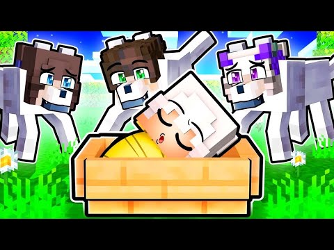 ADOTTATO dalla FAMIGLIA di LUPI in Minecraft!