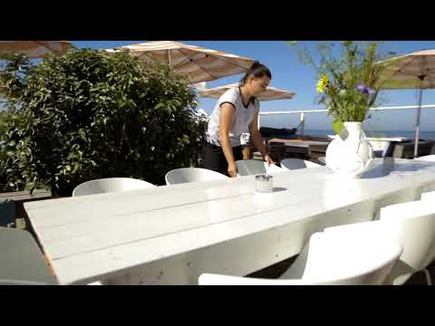 blooming beach - Bergen aan Zee