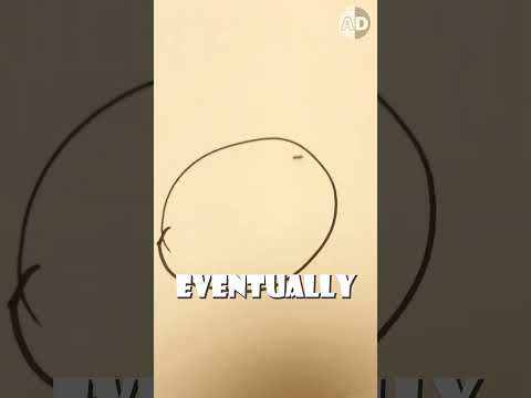 Why Ants Can’t Cross Pen Lines? 🐜🔍🖊️ #animals #alienspecies