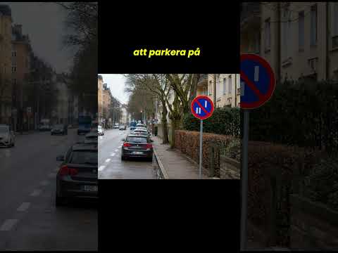 Datumparkering i Sverige