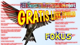Download lagu Gratis download 25 Suara panggil walet ( F ) mp3