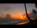 Caribbean Sleep Sounds Sea Waves And Birds Relaxing Music Meditation