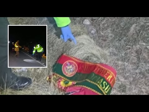 Subgobernador de Omasuyos pierde la vida atropellado en La Paz