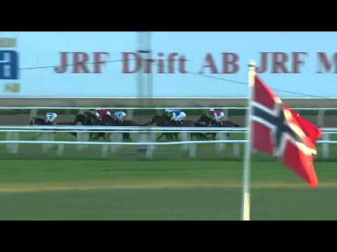 2014.06.10 Bloomers' Vase - Angel Light