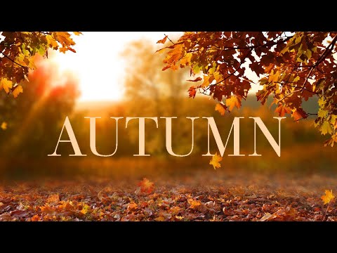 Backdrop video thumbnail