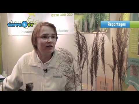 comment traiter les eaux usées domestiques