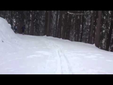 Pohorski back country