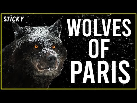 Wolves of Paris | Man vs Wolf in 14th Century Paris