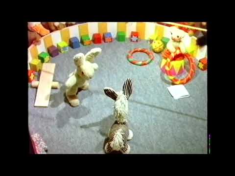 1-5 | Old Bear Stories - The Circus