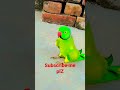 Green Ring Nick Talking Parrot Say Mithu Talking Parrot Say Mamma Tutu Talkingparrot Petbirds