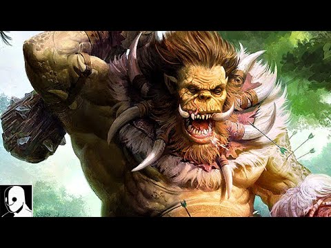 Echtzeit Strategie + Rollenspiel = Spiele Hit?