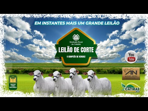 LEILÃO AO VIVO SINDICATO RURAL DE CATALÃO - GO - 05 DE JULHO DE 2026.