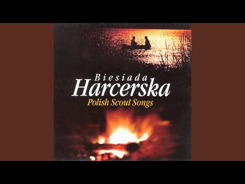 Plonie ognisko w lesie