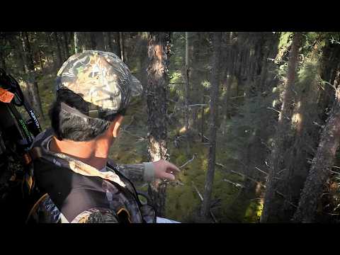 2 Hours of Most Disturbing Camping Encounters Caught on Camera Vol. 13