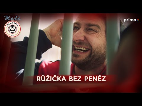 Náhled pro video reference