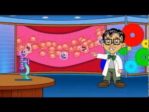 La Magica Scienza - Il Sangue (Parte 1)