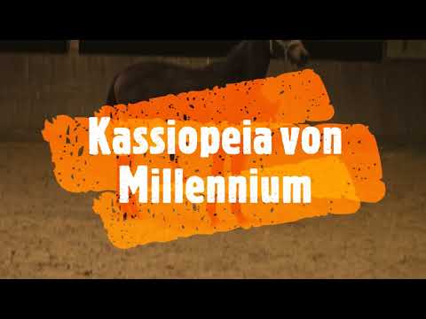 Kassiopeia von Millenium