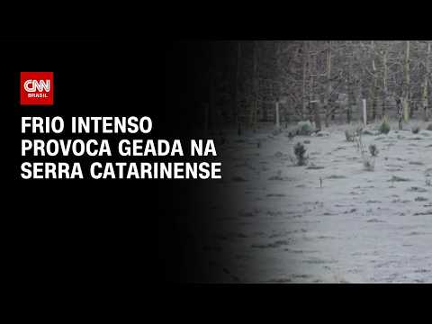 Frio intenso provoca geada e temperatura de -7,7°C em Santa Catarina | CNN AGORA