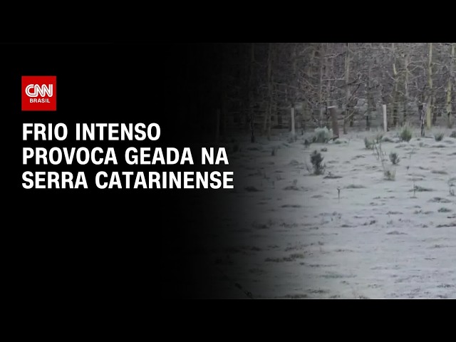 Frio intenso provoca geada e temperatura de -7,7°C em Santa Catarina | CNN AGORA