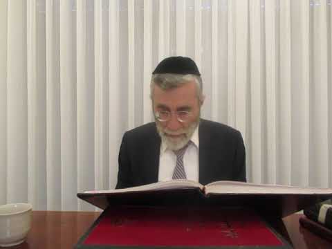 הרב יהושע ביבי - תשפ"ו - שער המצוות - שיעור מס' 027 - ע''ח ח''ב דף ט''ו ע''א בהגדרת צורה וצלם