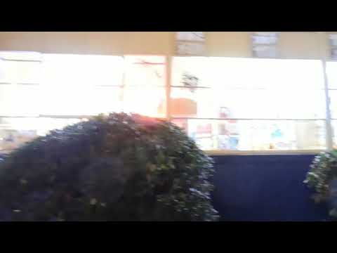 Pha$e 3 Da P - Bout it (50 bar freestyle) PROD. By Paupa + FlyGuyVeezy (new 2017)