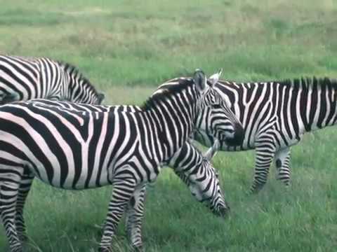 Quer durch Afrika - 1988 - Teil 1