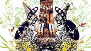 Bassnectar - Verbing the Noun