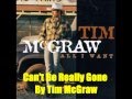 Can't Be Really Gone By Tim McGraw *Lyrics in description*