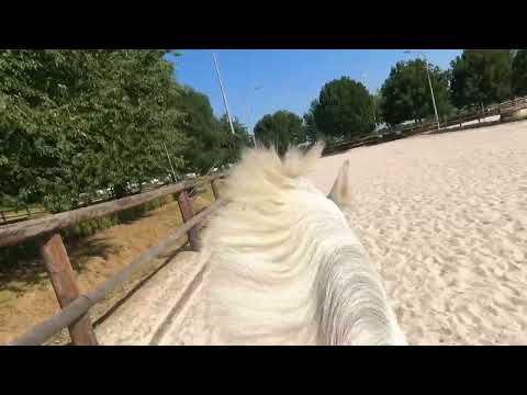 Mountain King - Video 2 video thumbnail