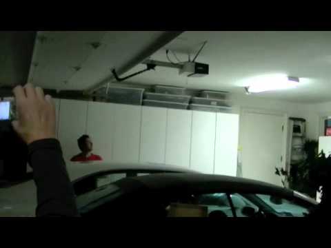 Montazami's Bird Surprise