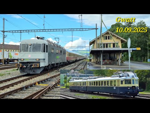 Bahnverkehr in Gwatt (10.09.2025) mit Re 620 003, AKE Rheingold & "Blauer Pfeil" BCFe 4/6 736