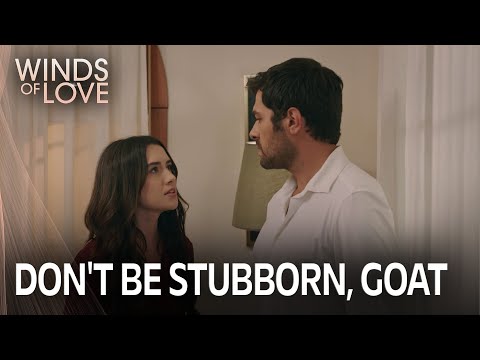 #zeyhal'in inat dolu gecesi | Rüzgarlı Tepe 154.Bölüm